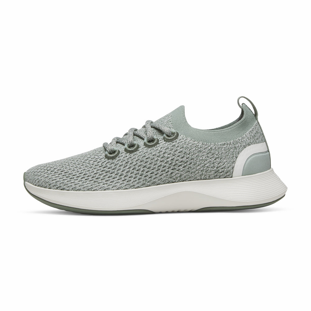 Allbirds | Dasher NZ - Promo Price