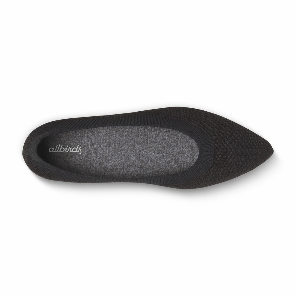 Allbirds | Breezer Point - Discount Offer