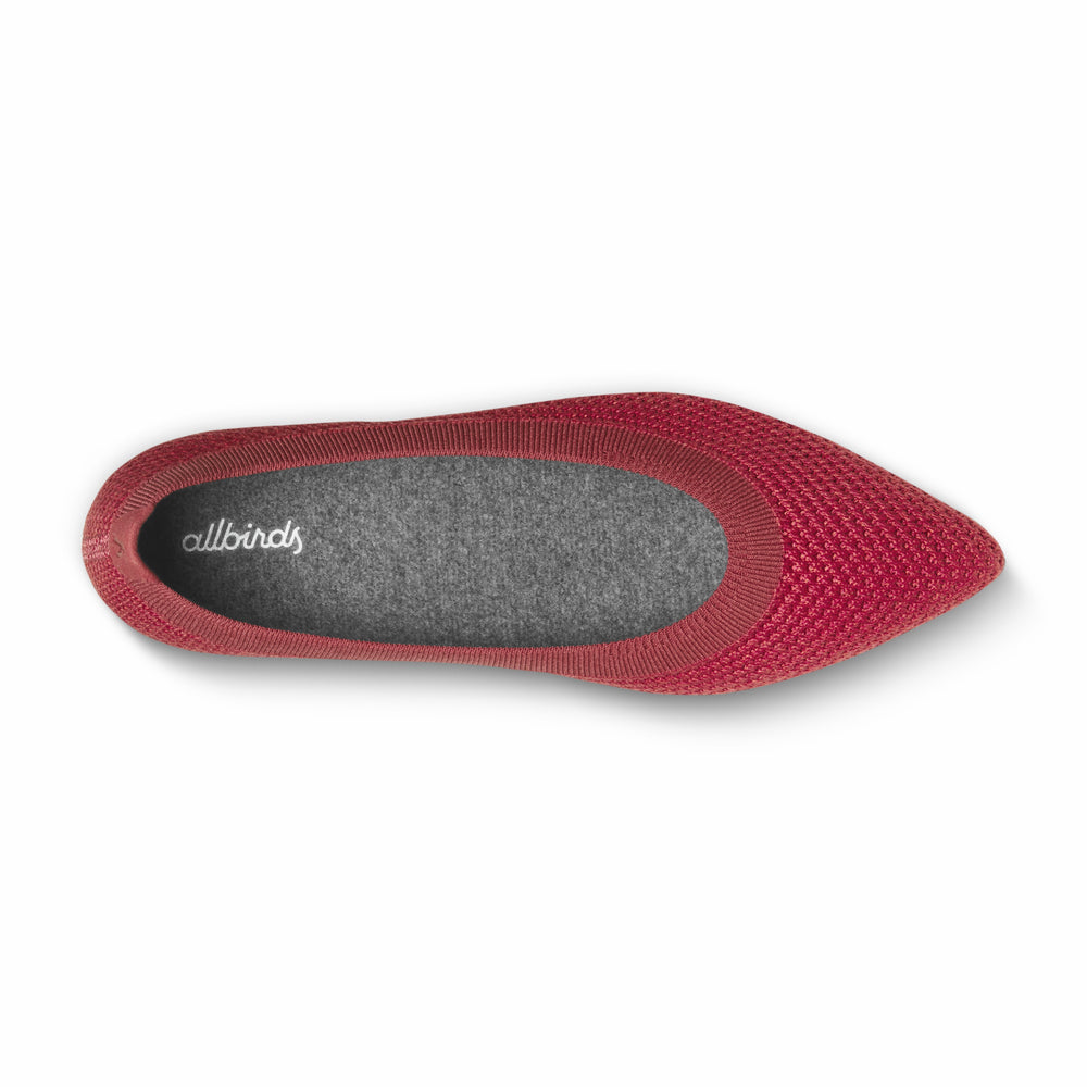 Allbirds | Breezer Point - On Sale