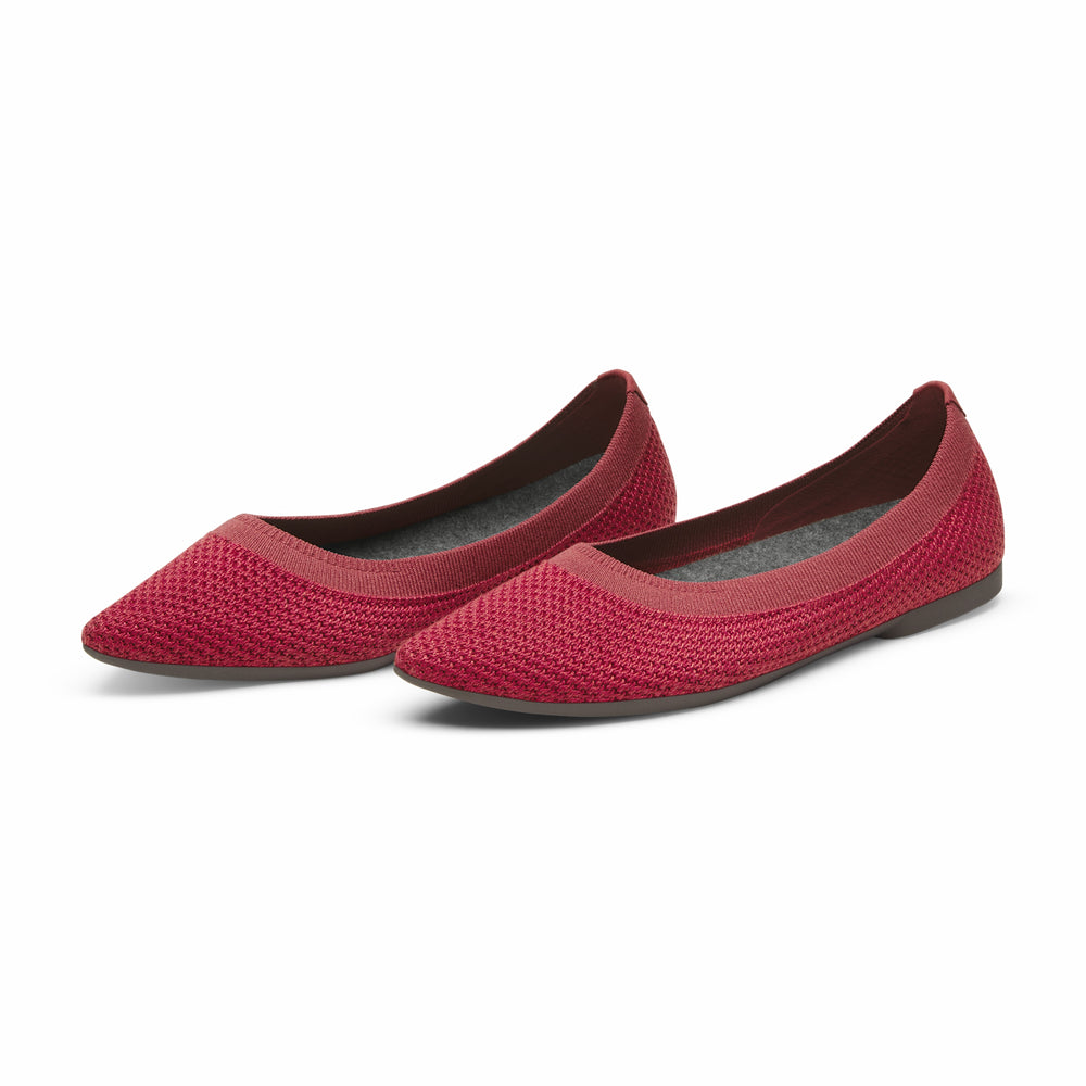 Allbirds | Breezer Point - On Sale